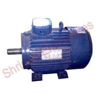 Industrial Induction Motor