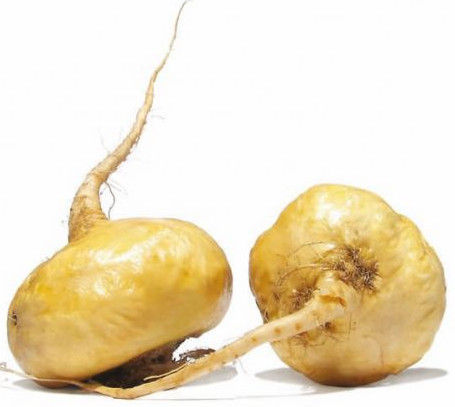 Maca Extract