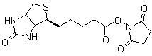  N-Succinimidyl D-Biotinate