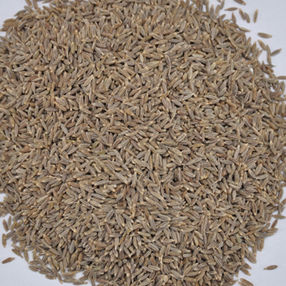 Cumin Seeds