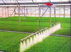 Drip Irrigation Systems at Best Price in Solan, Himachal Pradesh