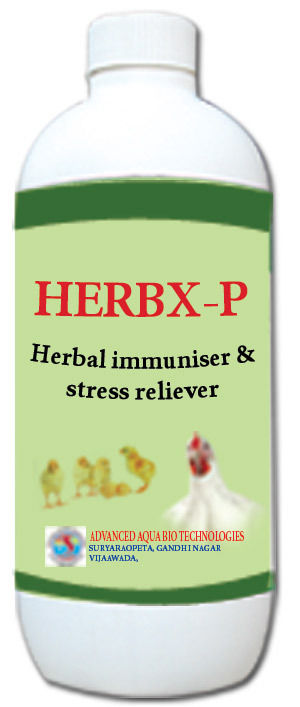 Herbx-P-Herbal Immuniser for Poultry