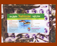 Nutrizyme (Concentrated High Protein Fish Feed Supplement)
