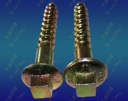 Square Head Lag Screw