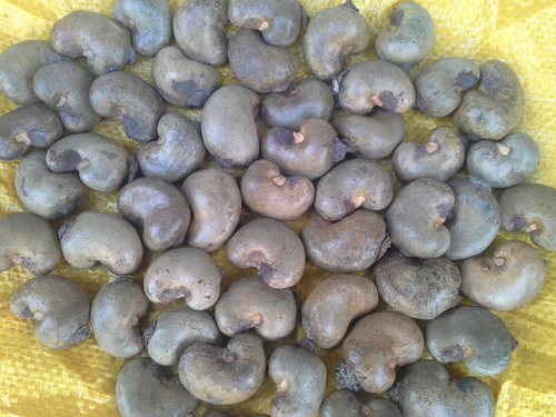 Cashew Nuts By Kalimbx Associate Ltd.