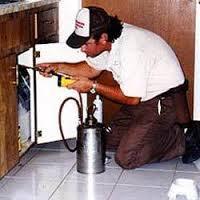 Pest Control Service - Customized Solutions for Domestic and Institutional Use | Effective Prevention for Kitchens, Restaurants, and Hospitals