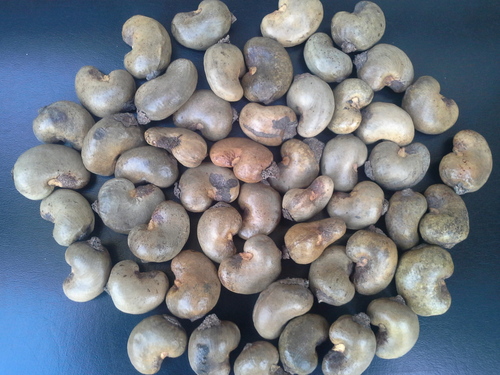 Raw Cashew Nuts By Kalimbx Associate Ltd.
