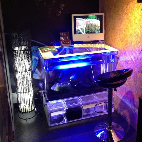 Bar Counter Aquarium