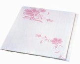 PVC Ceiling (-077)