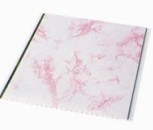 PVC Ceiling (-099)