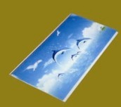 PVC Panel (-199)
