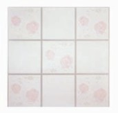 PVC Ceiling (-205)