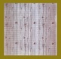 PVC Ceiling (-218)