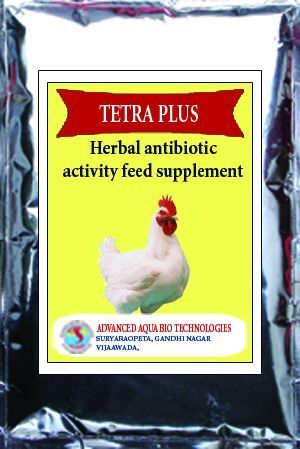 Stainless Steel Tetra Plus (Herbal Antibiotic Activity Feed Supplement)