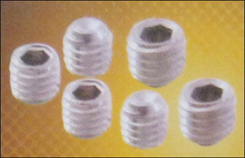 Ss Grub Screws