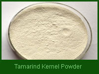Tamarind Kernel Powder (Oiled- De-Oiled)