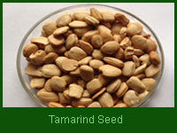 Tamarind Seed (De-Husked)