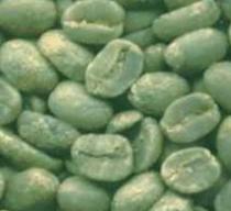 Green Coffee Extract