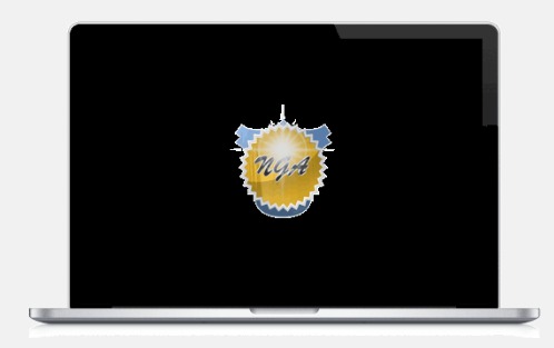 Professional Design and Development Services