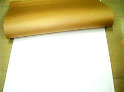 Coated White Top Kraft Paper