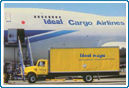 International Cargo Service By M. S. Indeal Freight Forwarders Pvt. Ltd.