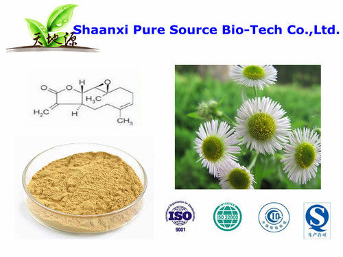 100% Natural Parthenolide 0.8% Feverfew Extract