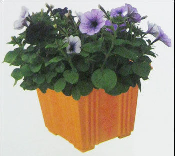 Cost-Effective Bageecha Planters