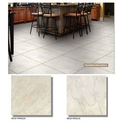 Stain Free Floor Tiles (600x600)