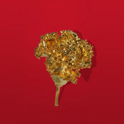 Gold Plated Anthurium Flower