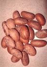 Bitter Kola Nuts