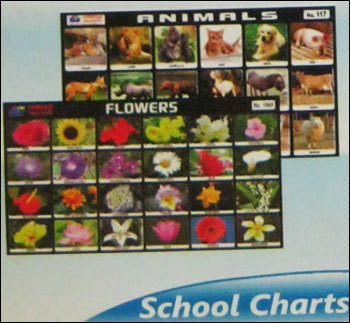 School Chart Printing Service By Shrijii Creation