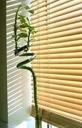 Designer Wooden Venetian Blind