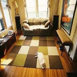 Home Use Carpet Tiles By Sarvodaya Carpets