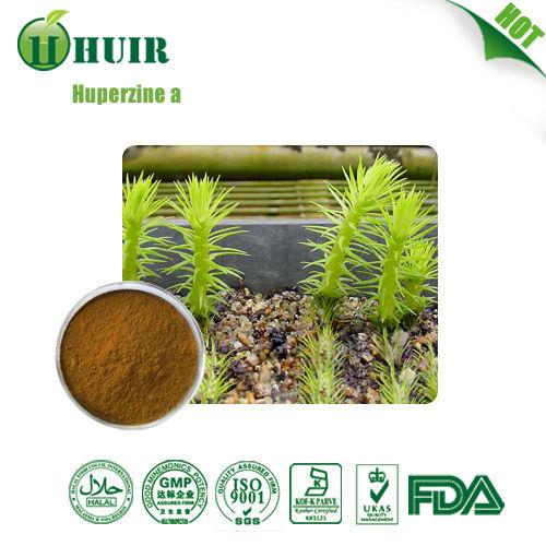 Huperzine A (Huperzia Serrata Extract)