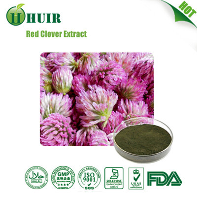Red Clover Extract (85085-25-2) By Changsha Huir Biological-Tech Co. Ltd.