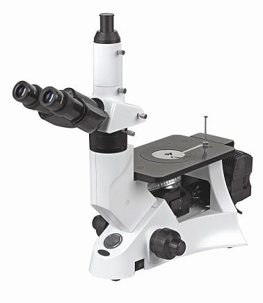 Inverted Metallurgical Microscope (BS-6000B)