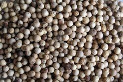 White Pepper