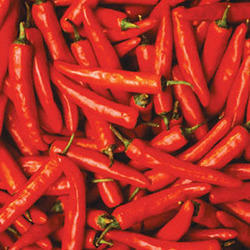 Red Chillies