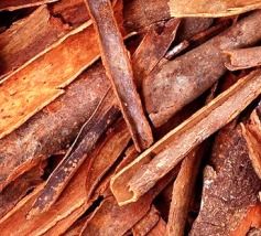 Cinnamon Bark Oil