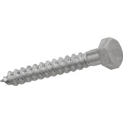 Coach Screw