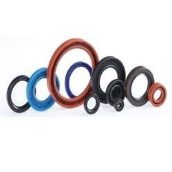 Rotary Shaft Seals