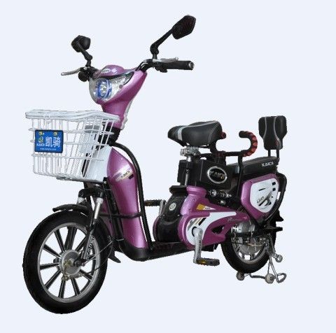 Electric Bicycle (Tdr022az)