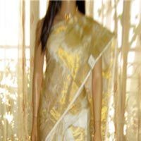 Fancy Zari Sarees