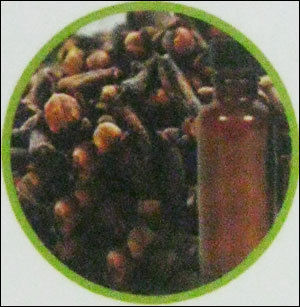 Clove Bud Oil