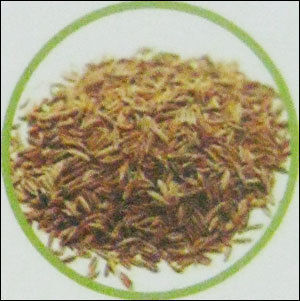 Cumin Seed Oil