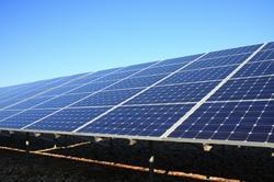 Solar Panel for Plant Projects