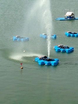 Modular Plastic Pontoon