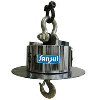 Crane Scale - 5 to 50 Ton Capacity | Intrinsic Safety Features, Special Locking Type Load Cell