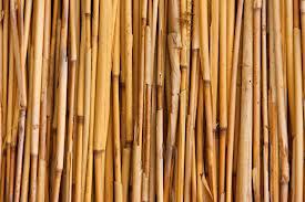 Bamboo Stick