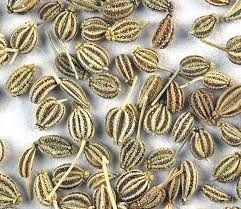 Ajwain Seed